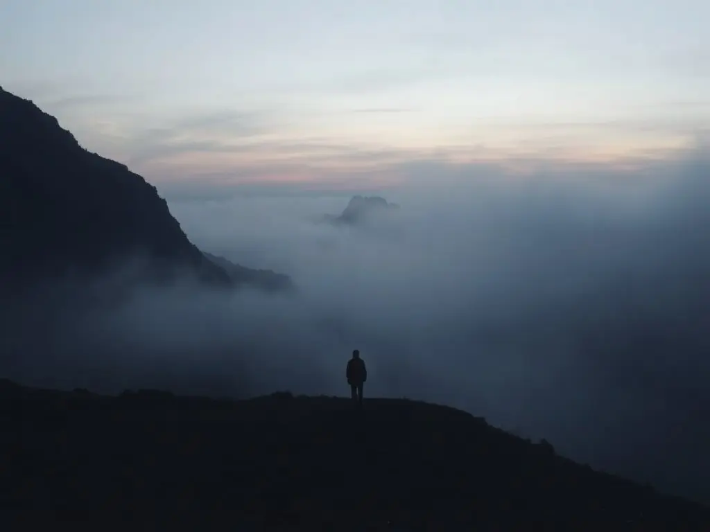 'Ancient Aliens' expert David Wilcock dead at 53 after 'mental health crisis'