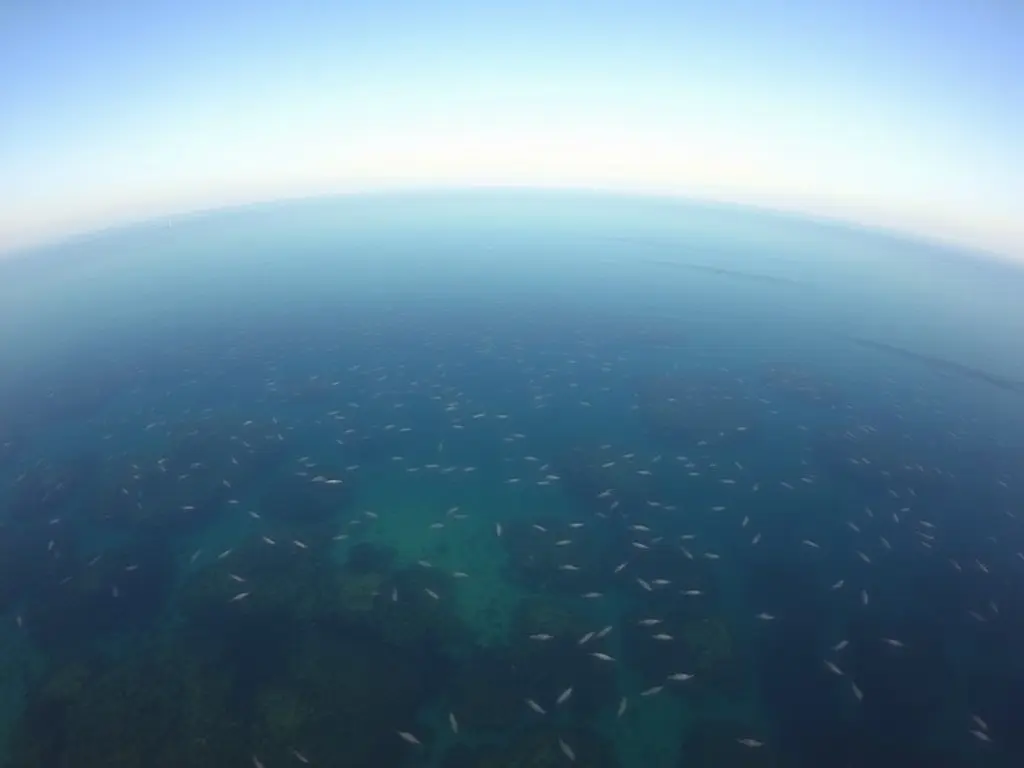 Canada and Japan launch new actions to tackle methane, plastic pollution, and biodiversity loss