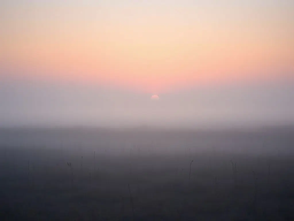 National Trust and Suffolk Wildlife Trust make nature plea